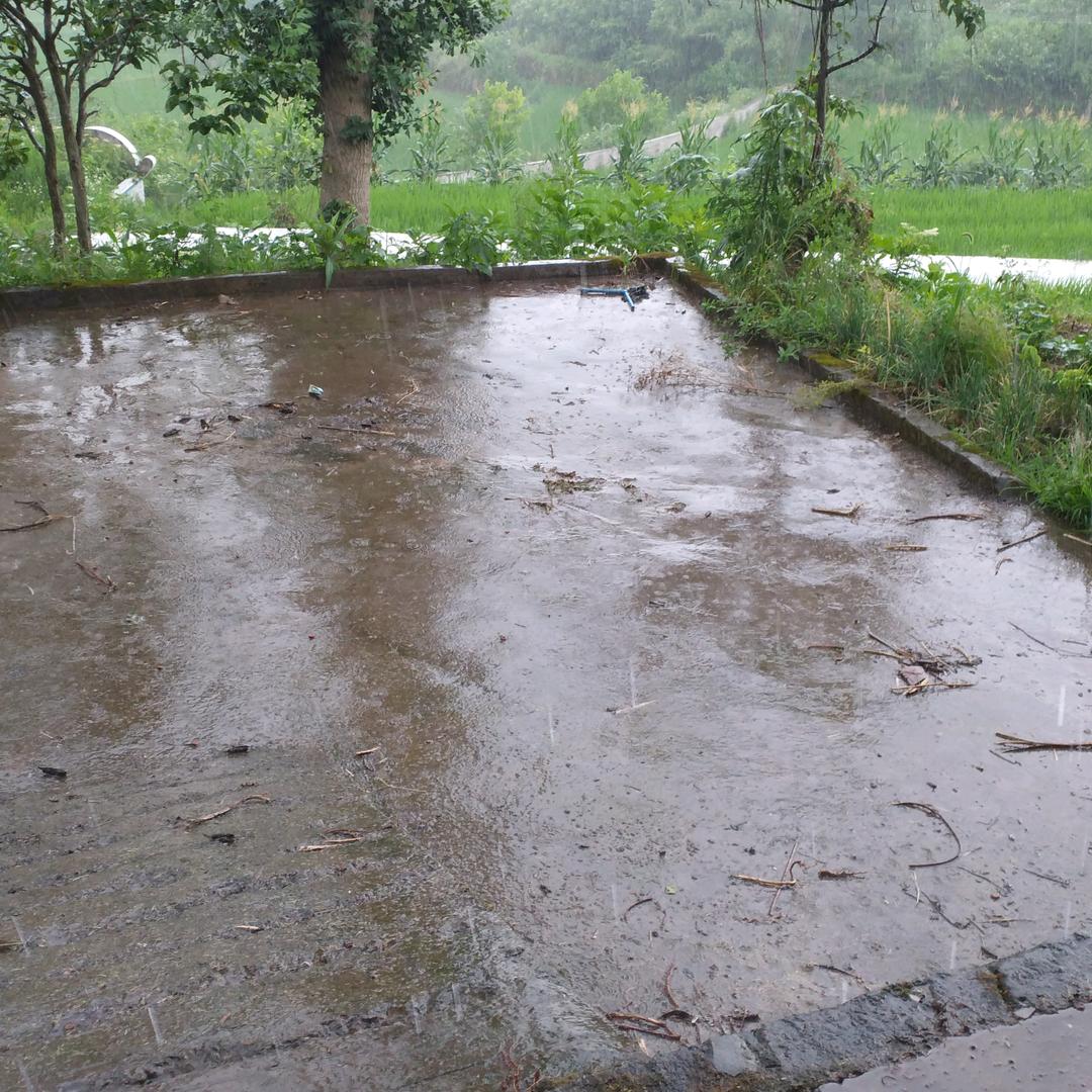 莫宣林
