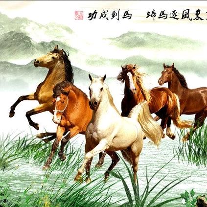 青州梅腾房地产咨询有限公司