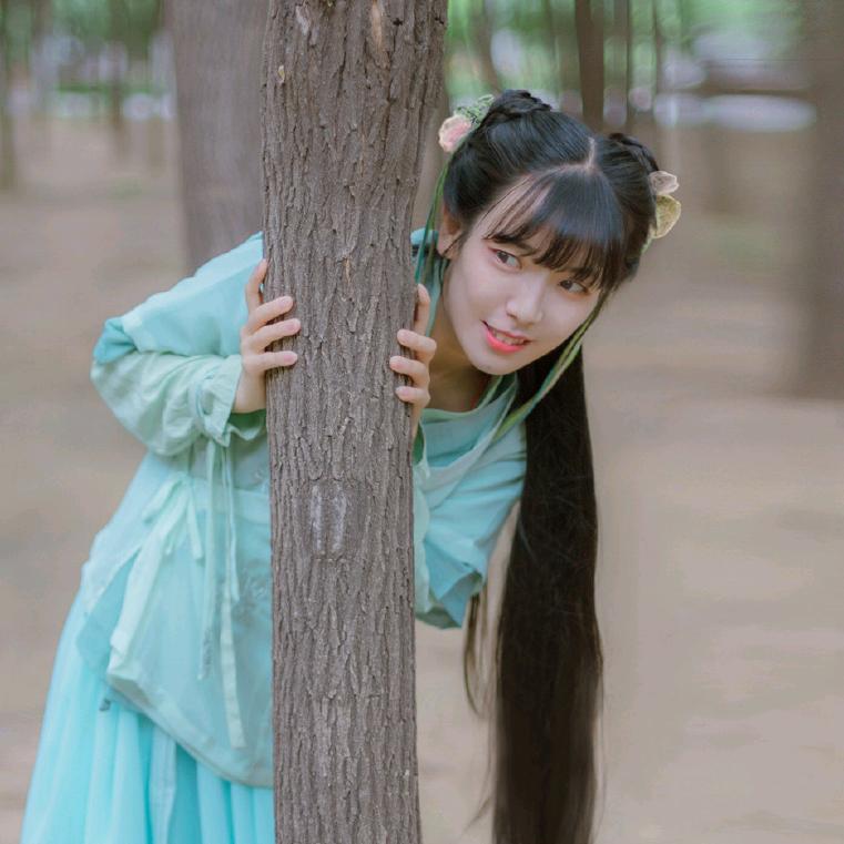 郑智嘉也是小智