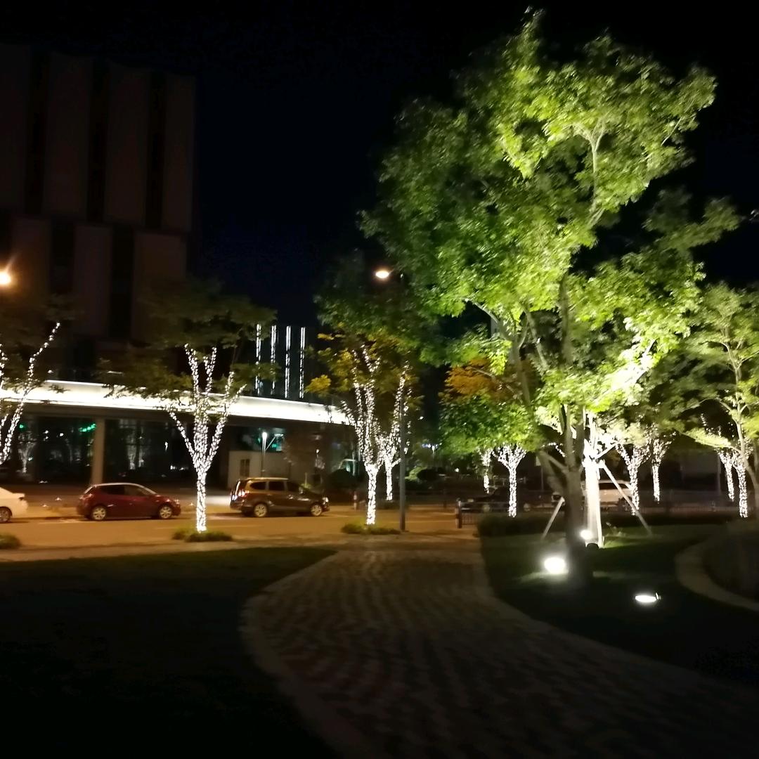 香叶