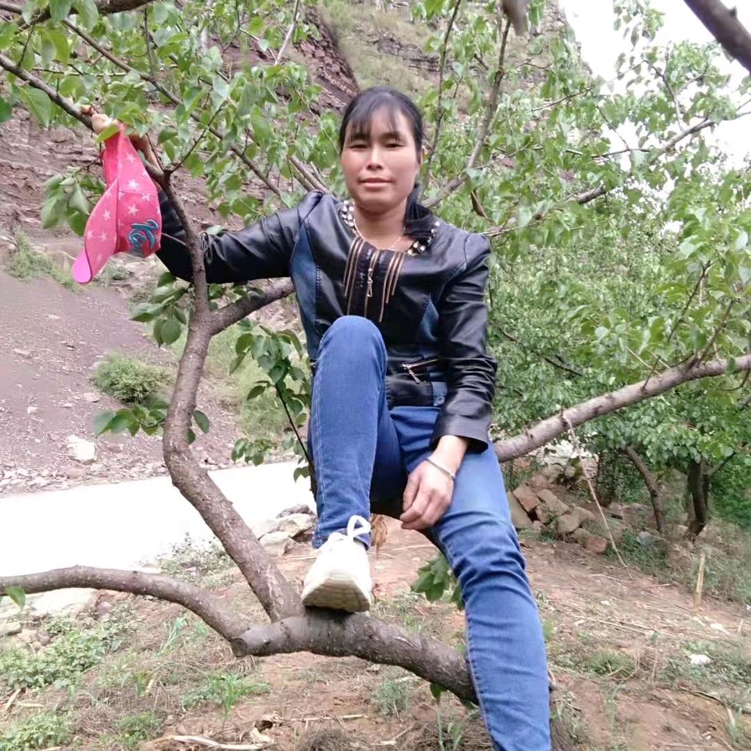 米莲