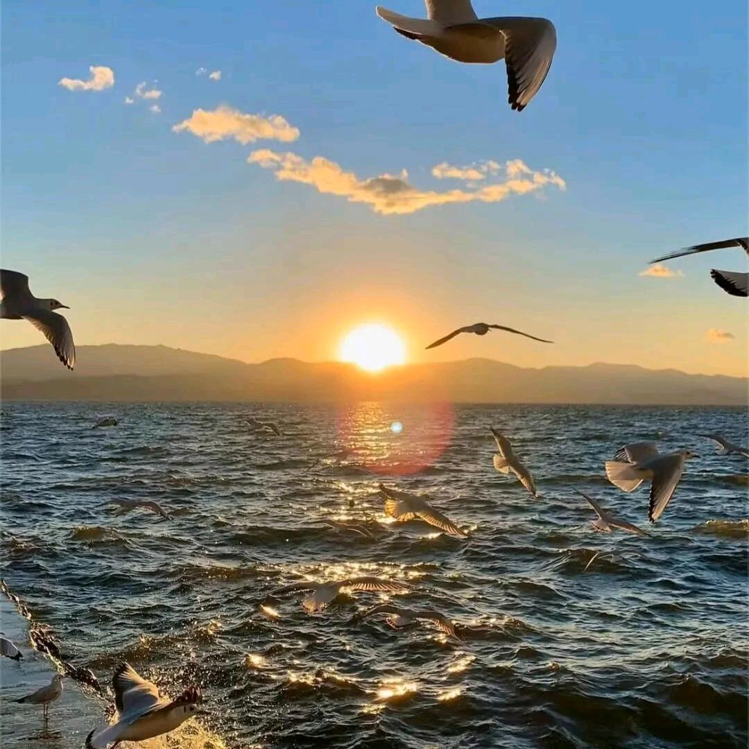 婷婷玉立🌈🌈