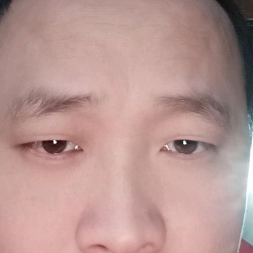 情到