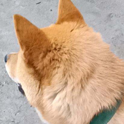 💕梁s头像