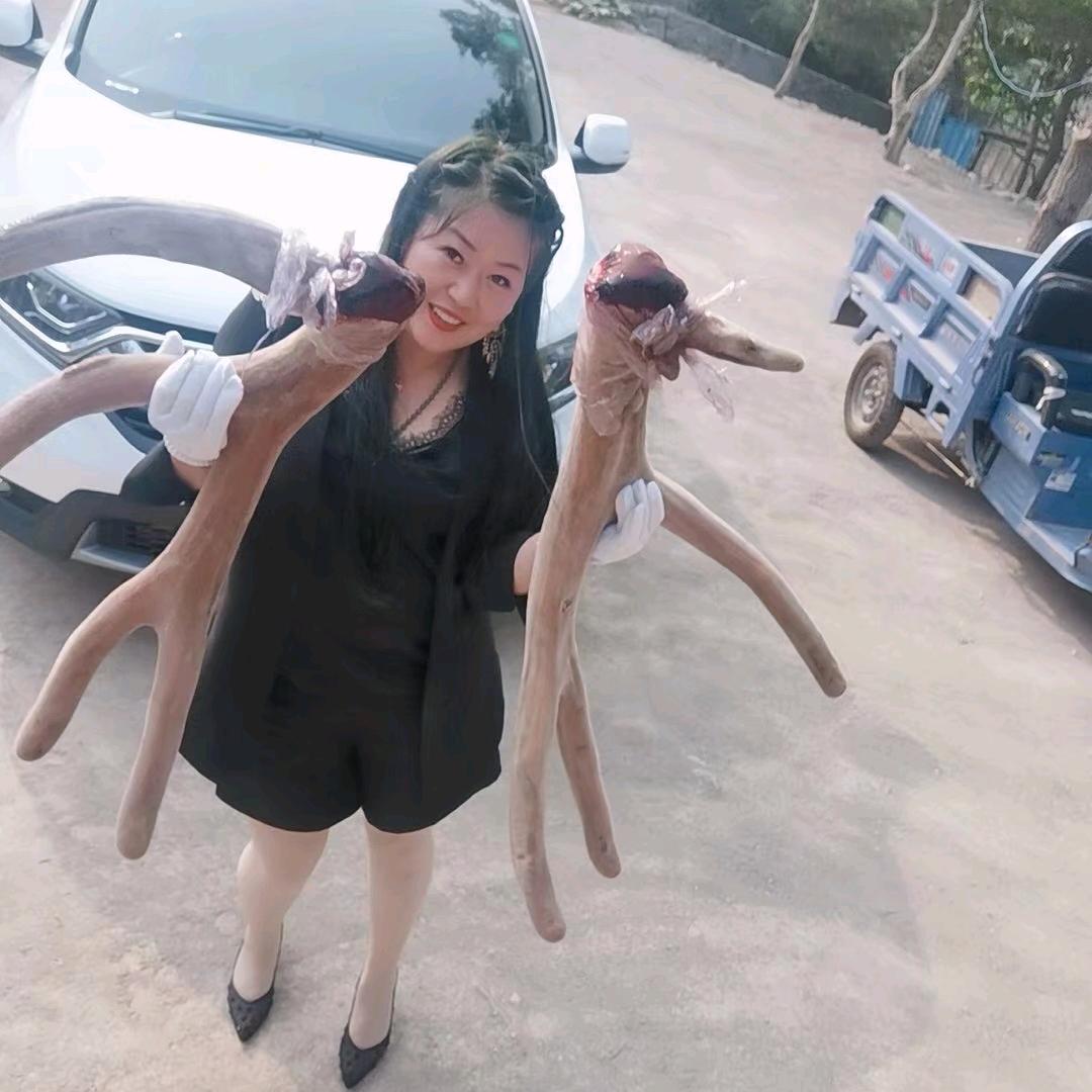 养鹿傻妞小金花