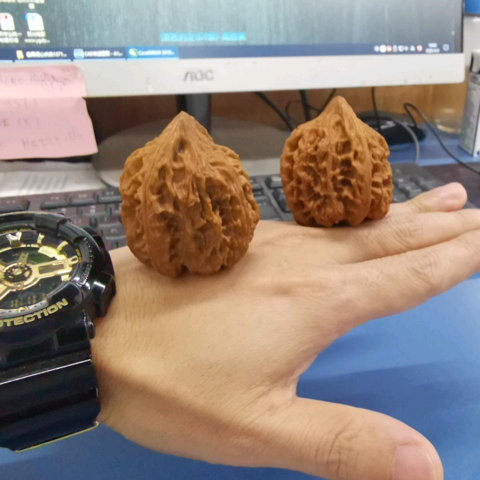 等风来头像