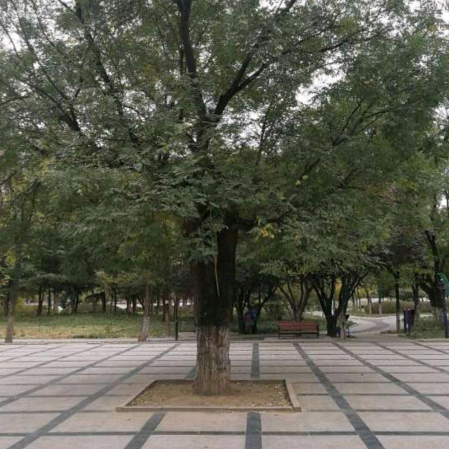 或许.