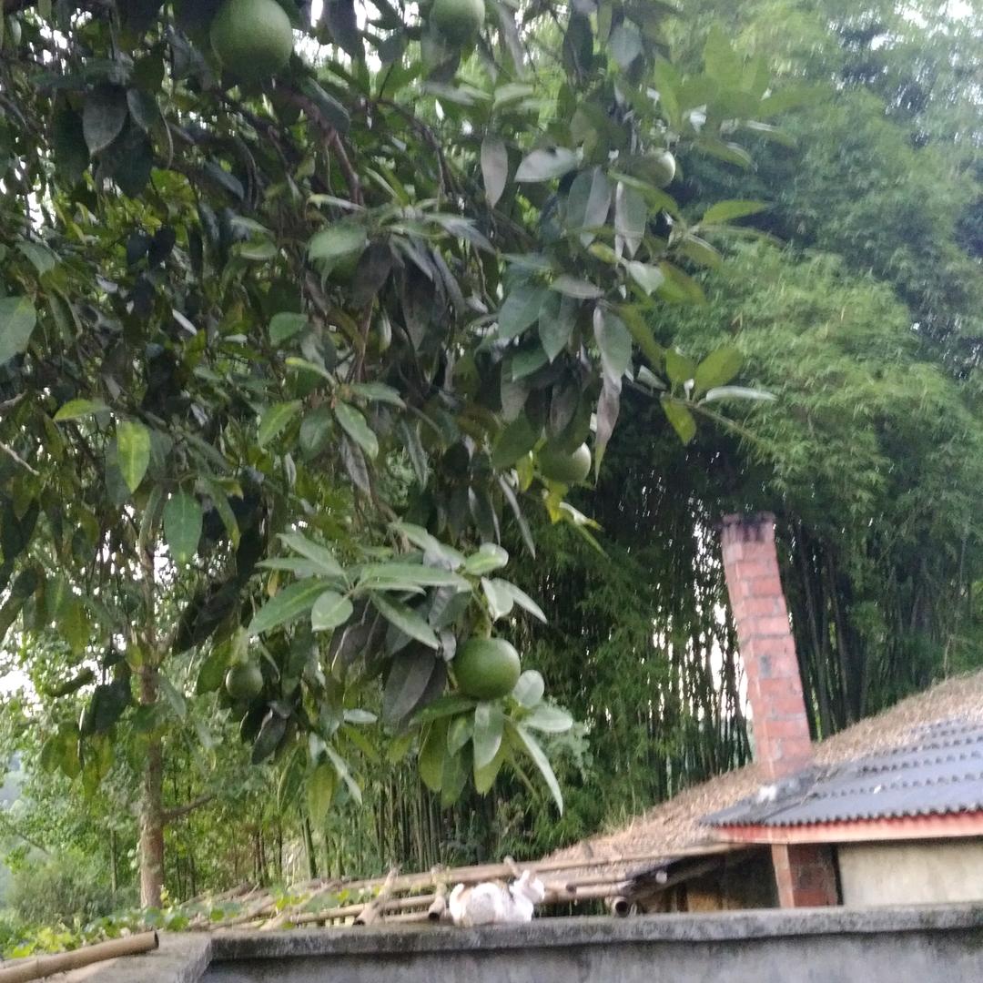 际遇$蓝海