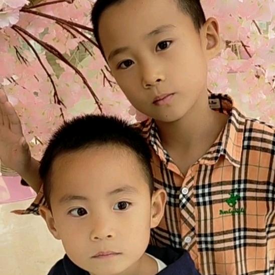 梧桐树、