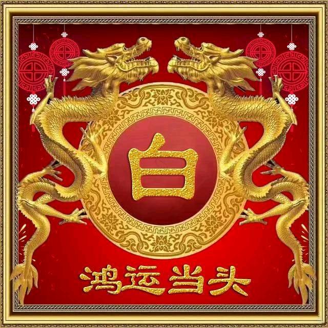 小白