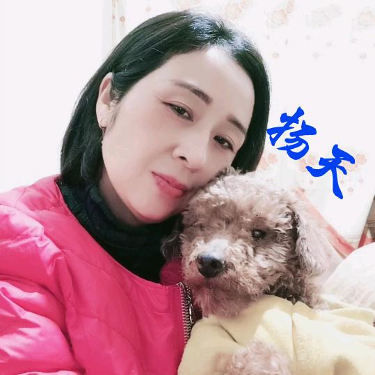 扬天（流浪狗之家）
