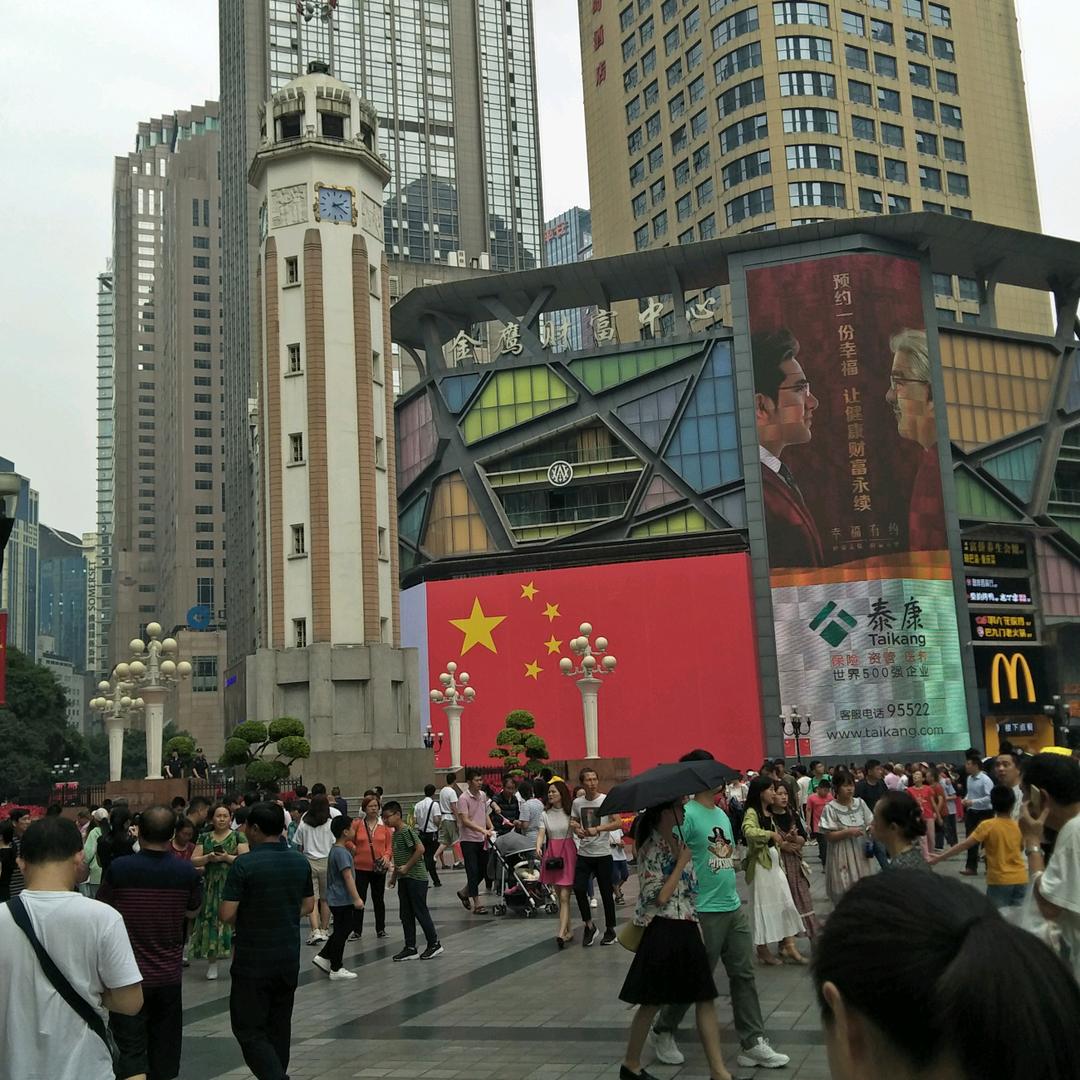 兔子哥哥🌍