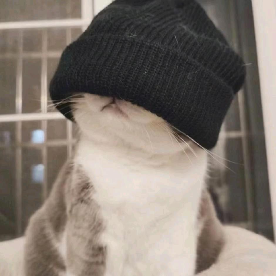 𝘠𝘠𝘺.