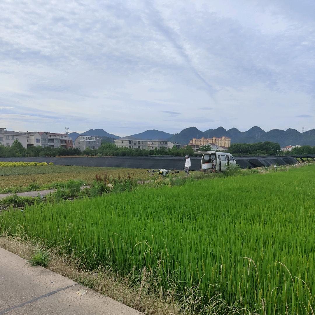 用户名59368826头像