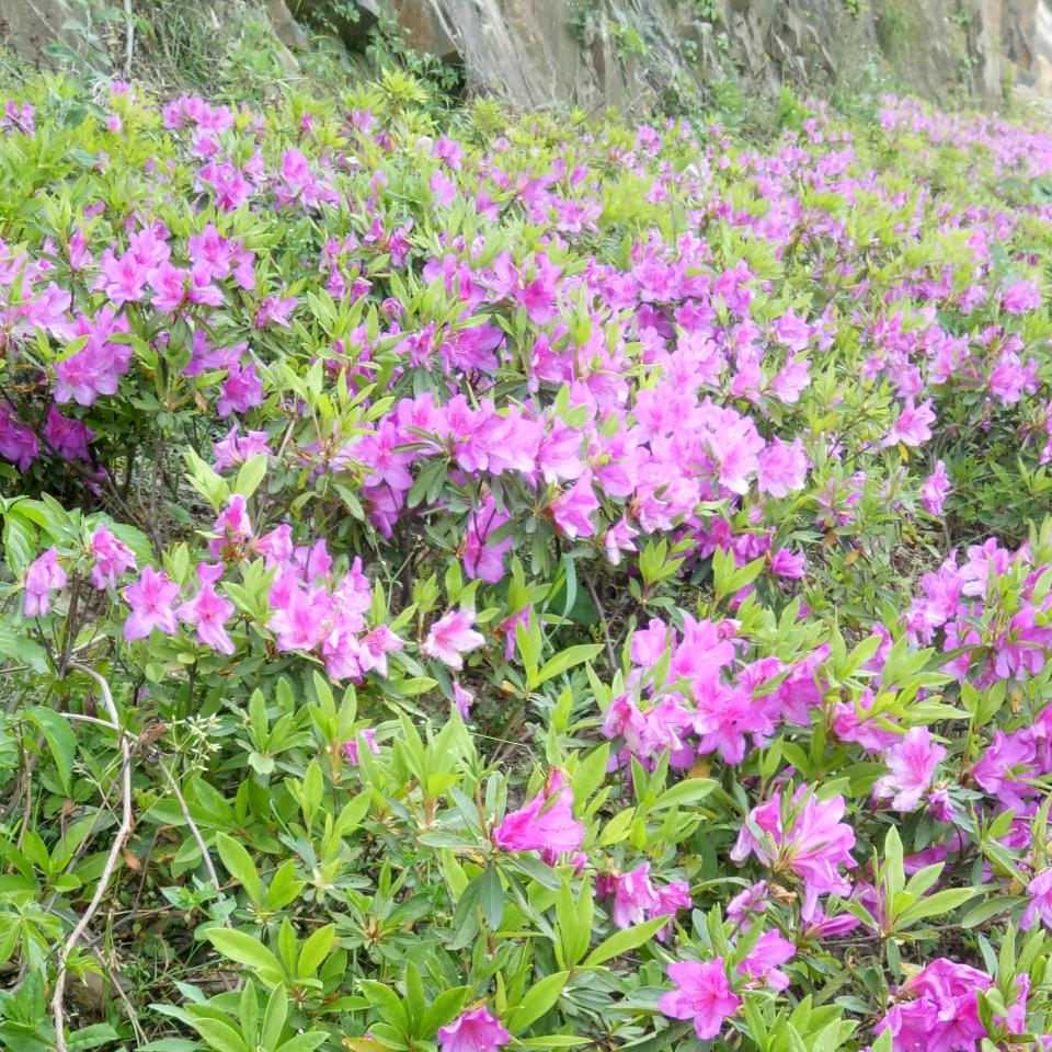 爱上你是我的错