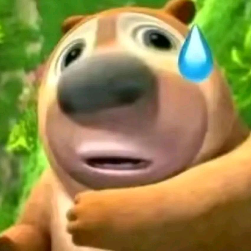 熊豆🐻（去过spⅡ版）
