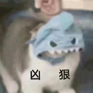 蝙蝠公子