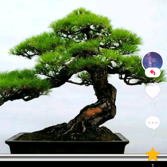 本人专业钢结构 光伏安装