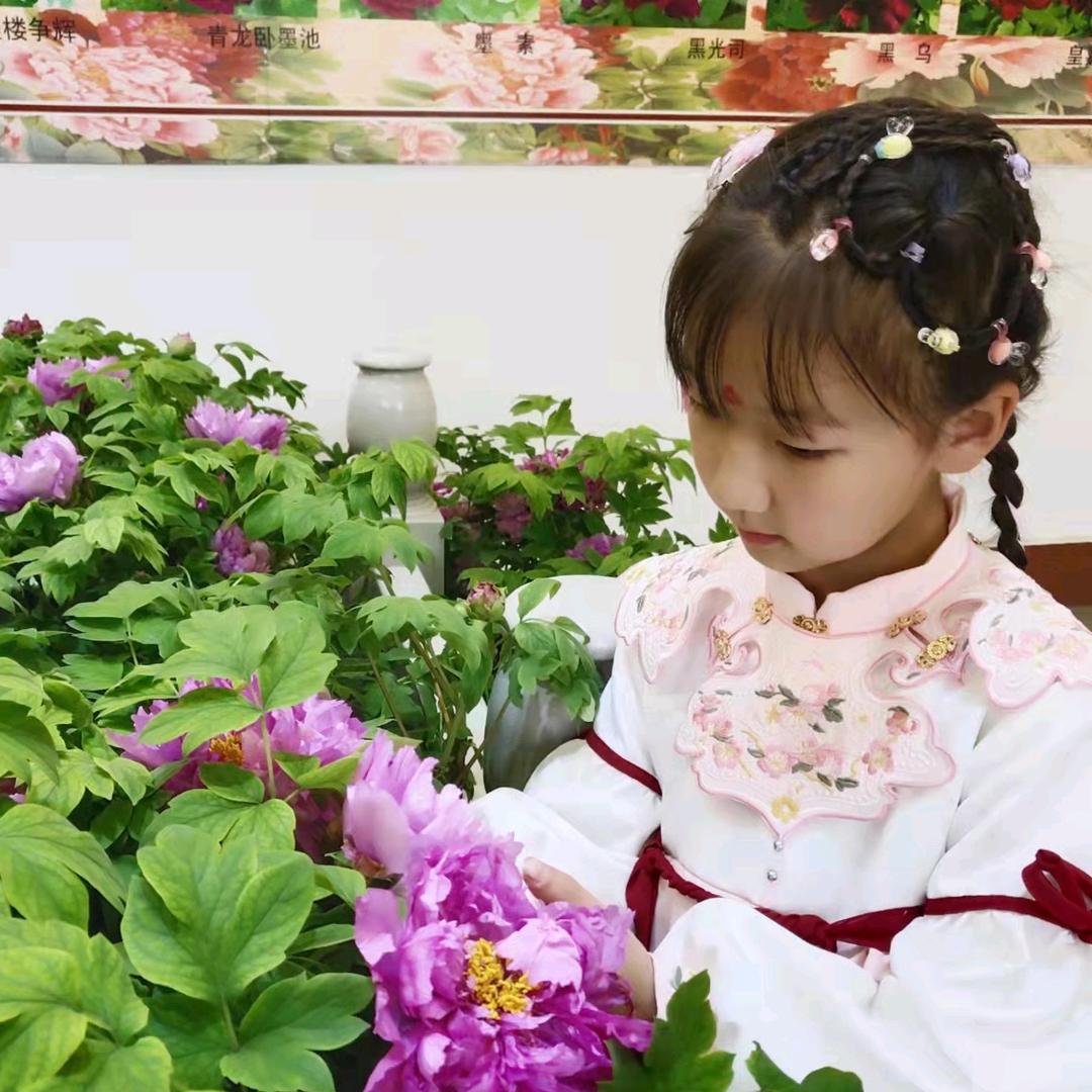 如意手编