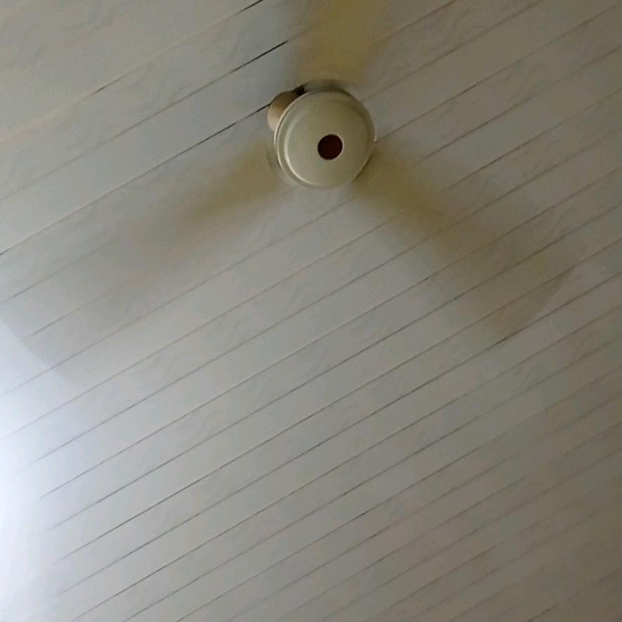 梦想成真whe