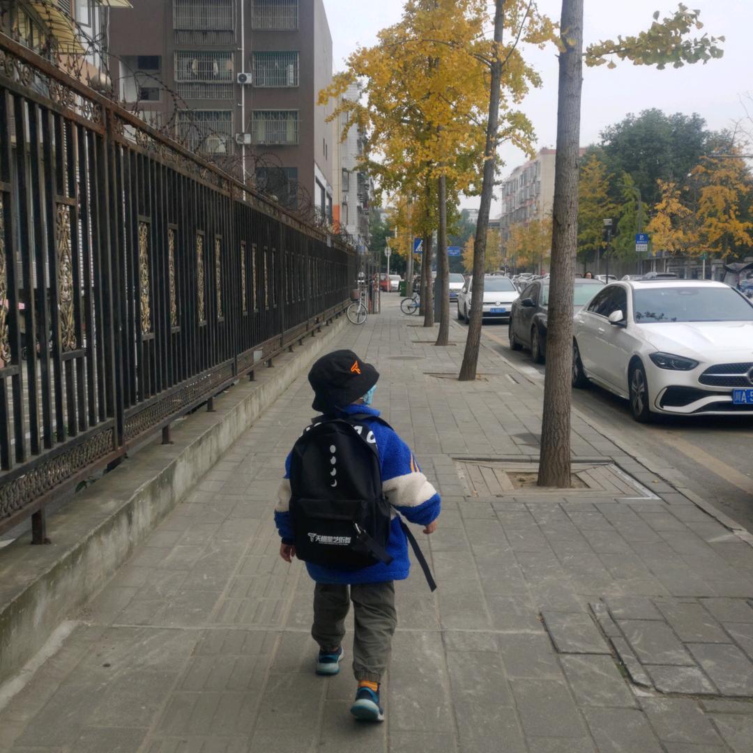 罗石头