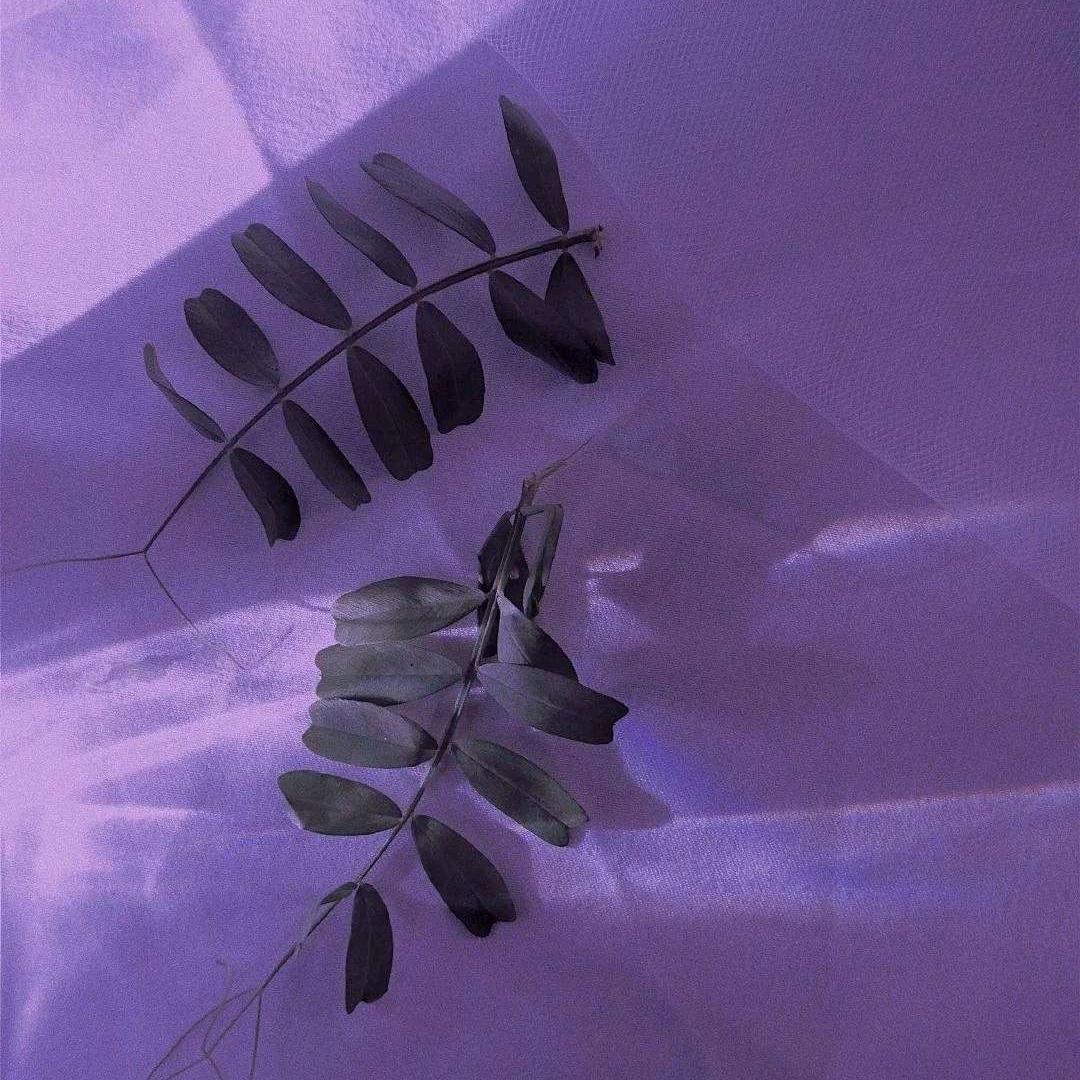 ⁺✞ʚ鸡脚筋重度依赖ɞ✟₊