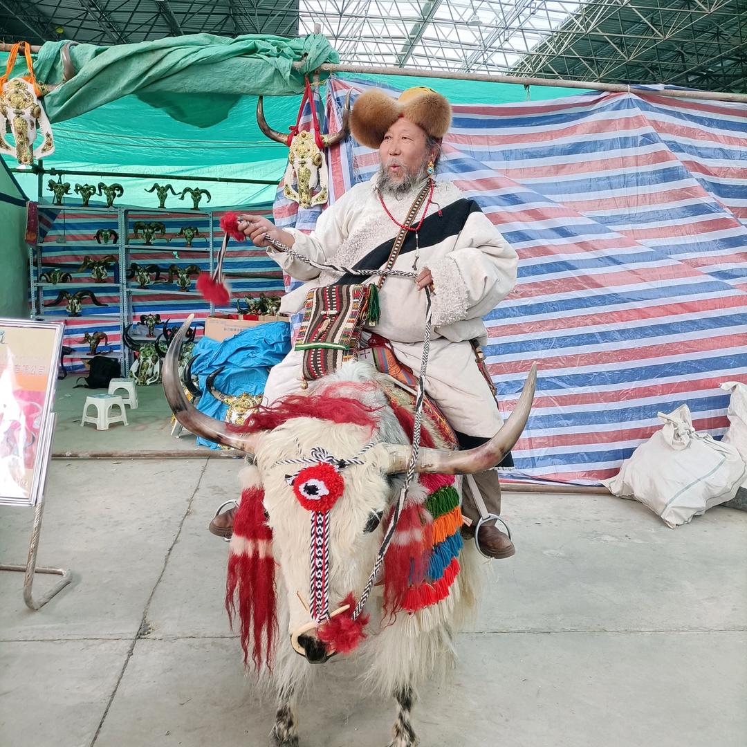 藏族老爷大胡子