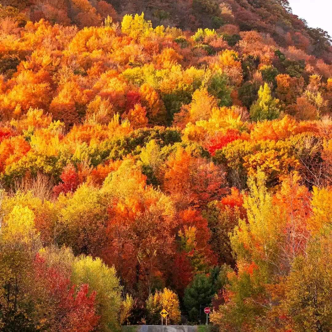 平平淡淡就是福