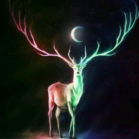 🎀⁹² 海纳百川