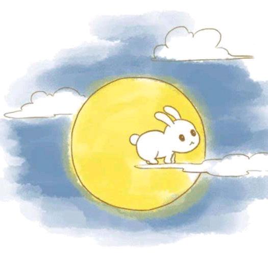 云跑兔