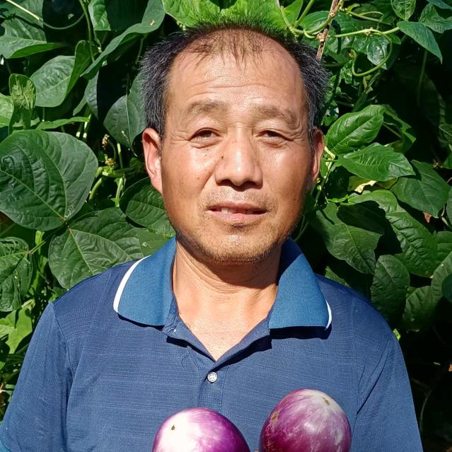 开心洪哥(晚上20:30点开播