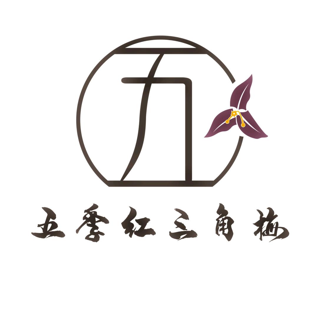 五季红三角梅