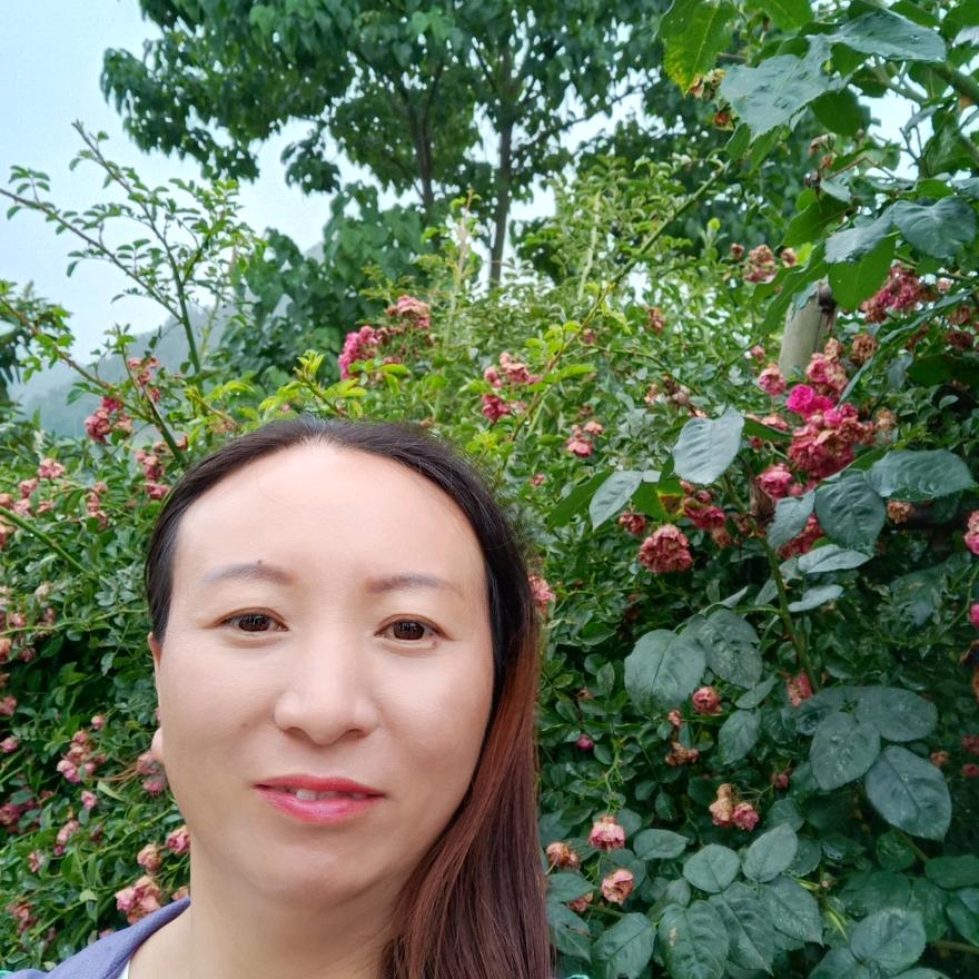 丁洪敏