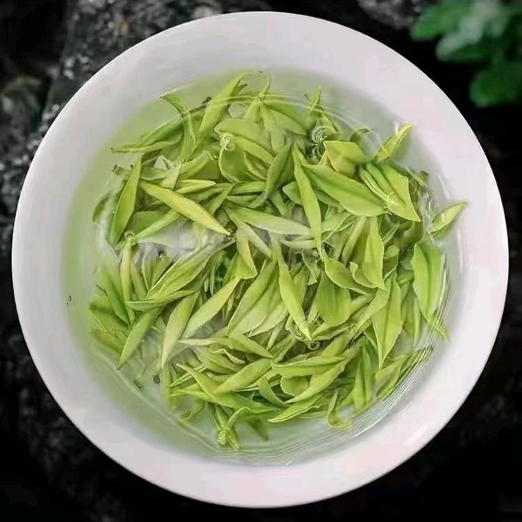 湖州安吉白茶白茶黄金芽主产区
