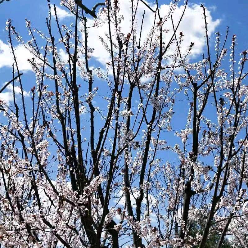 幸福一生