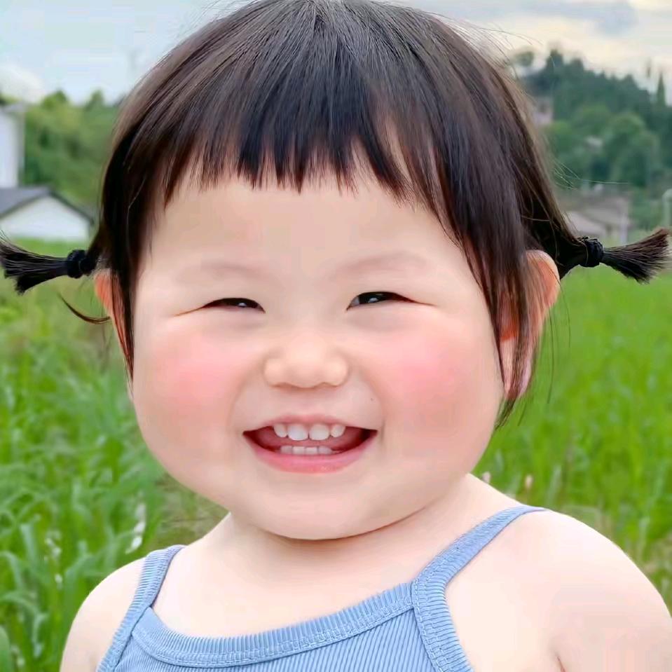墙缝里的蚂蚁