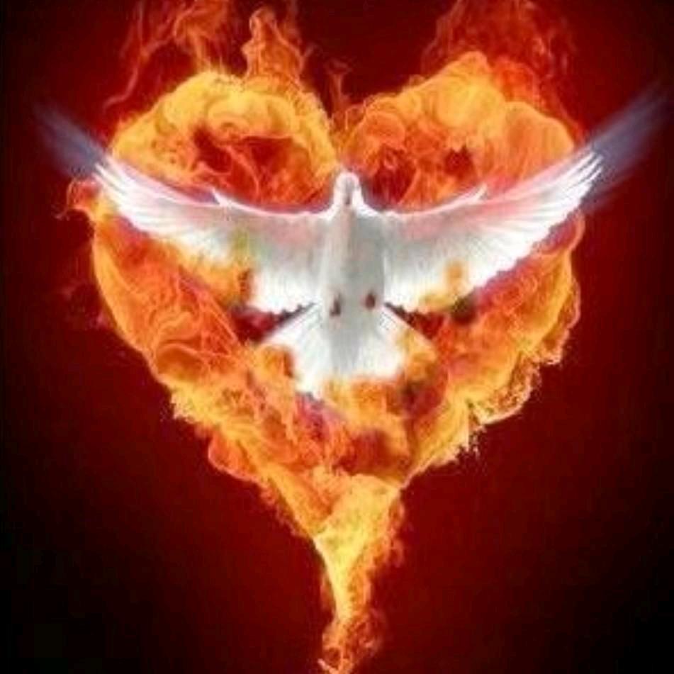 完美法身-新法修行