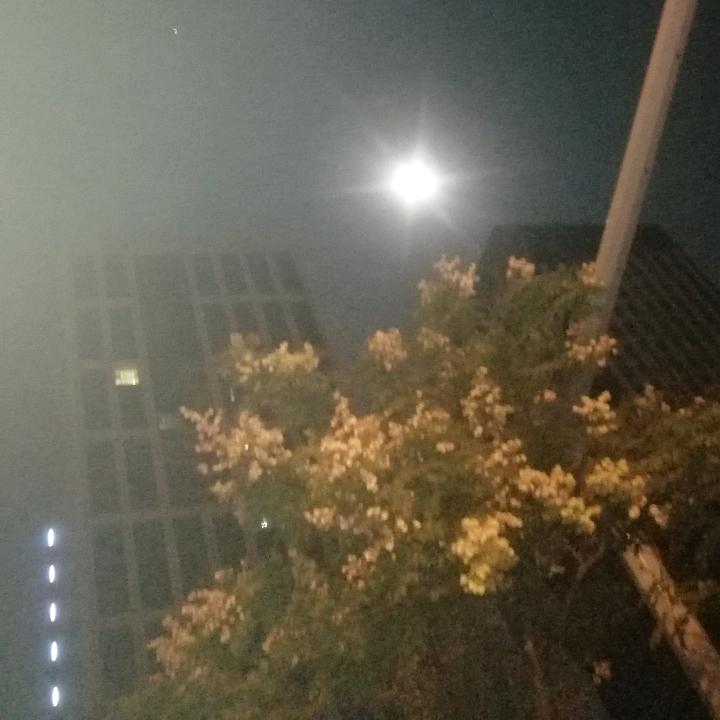 沉默非无声