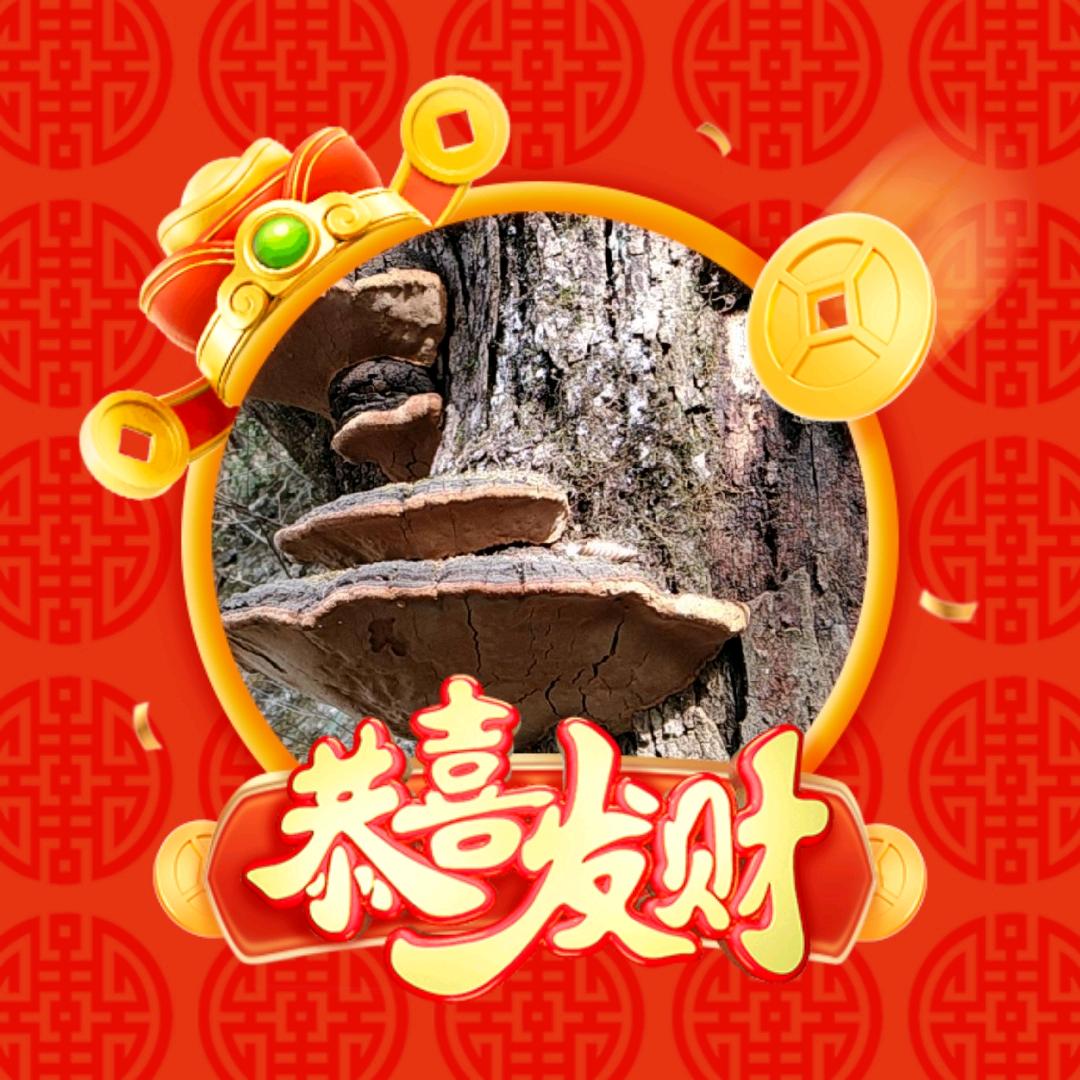 心想事成