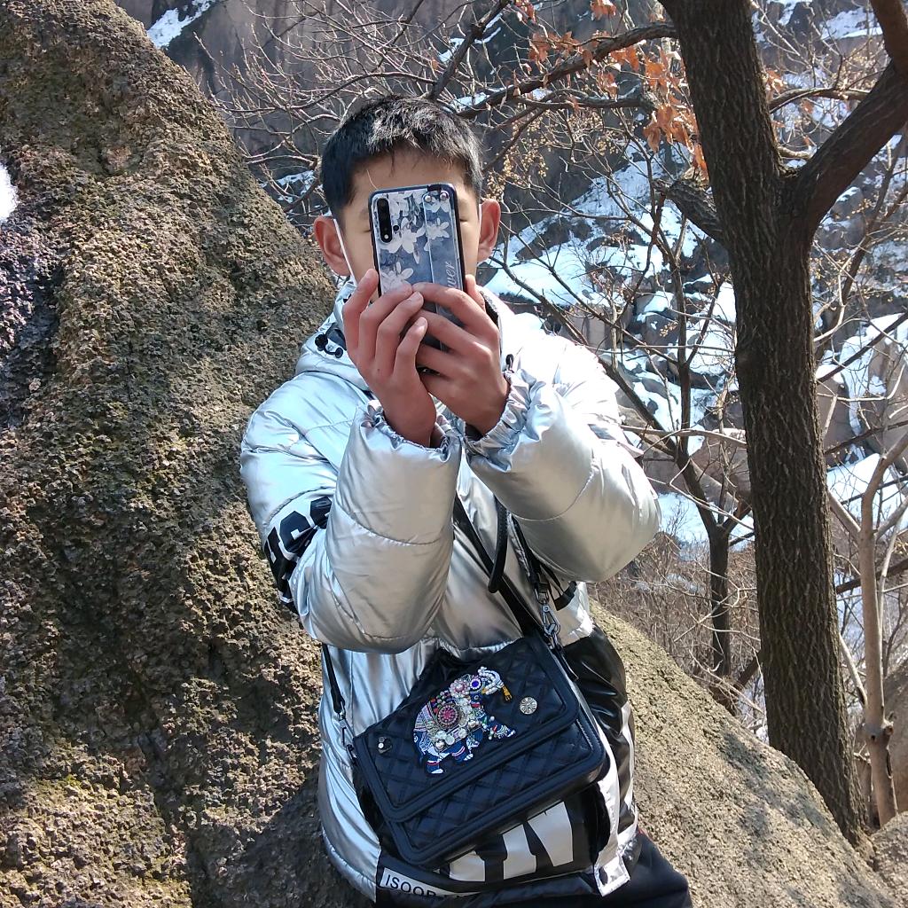 樱花雨落