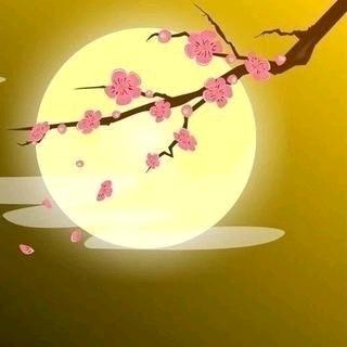 用户2677064265059