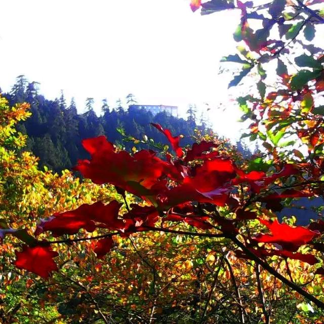 万水千山总是情