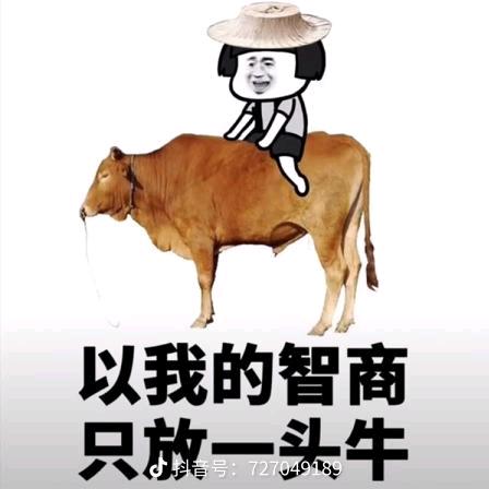 ✺◟(∗❛ัᴗ❛ั∗)◞✺亦客✺◟(∗❛