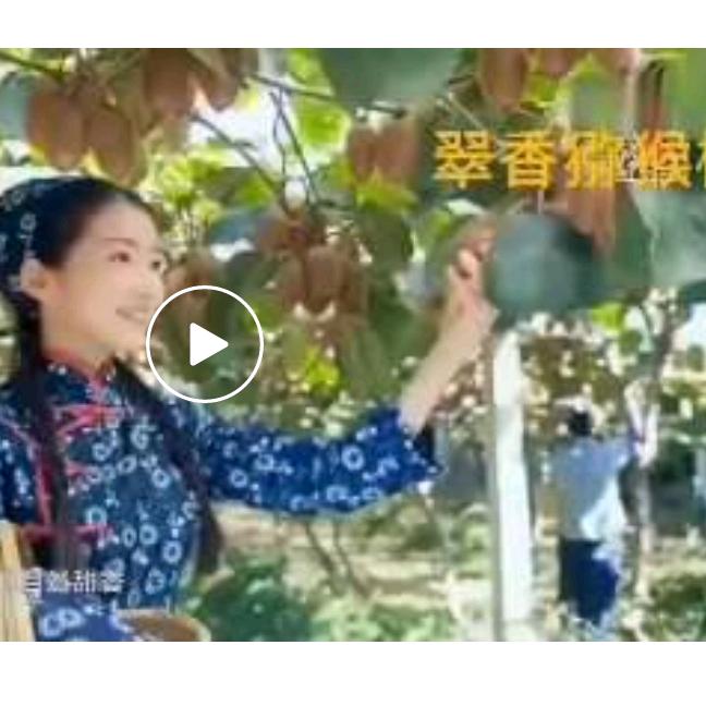 周至猕猴姐中老年情感交友