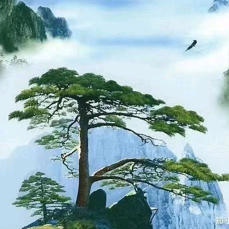 拚搏进取