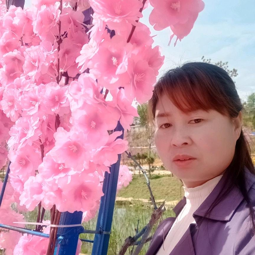 夏风如歌
