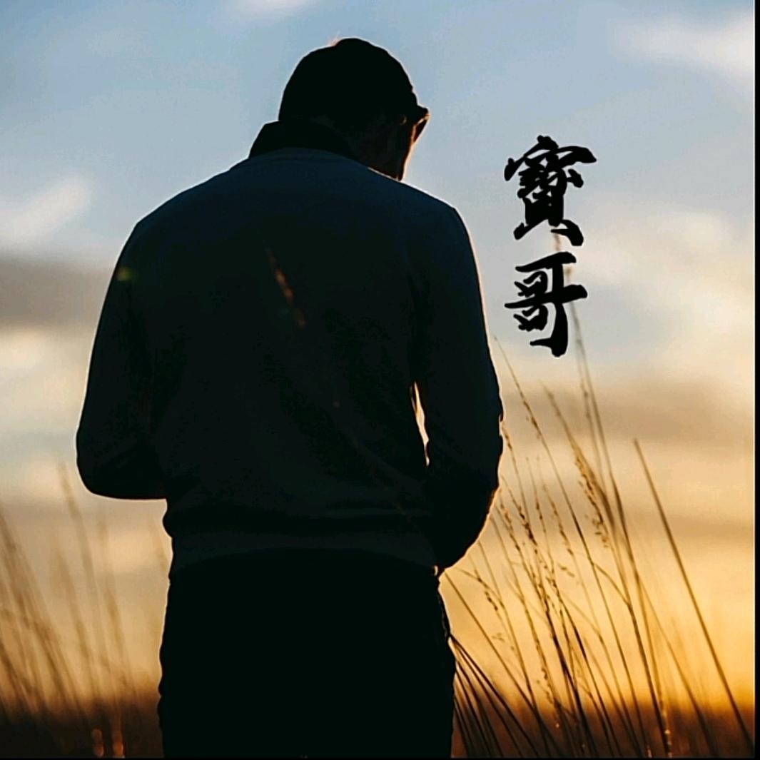 宝哥爱养鱼