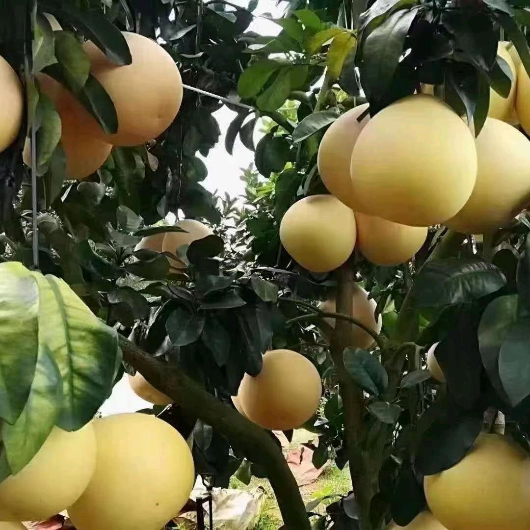 深深不见底