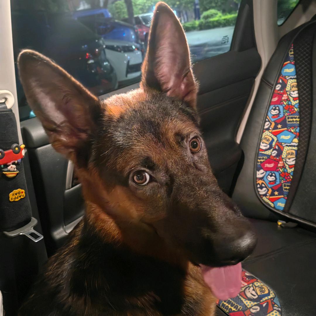 旋一口两千里🍢