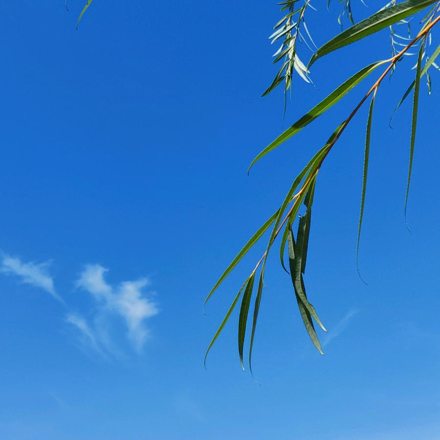 零年